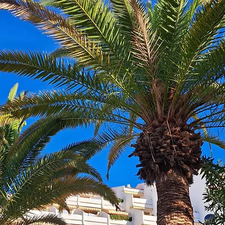 Garden Seaview Americas * Playa Fanabe